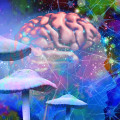 The Incredible Benefits of Psilocybin on the Brain and Nervous System