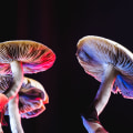 Exploring the Benefits of Psilocybin: A Comprehensive Review