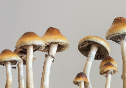 The Potential Benefits of Psilocybin in Treating Addiction and Substance Abuse Disorders