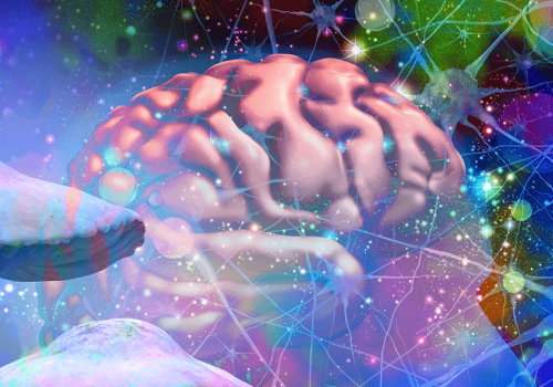 The Incredible Benefits of Psilocybin on the Brain and Nervous System