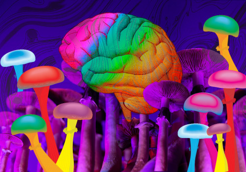 Exploring the Benefits of Psilocybin: A Comparison to Other Psychedelic Substances