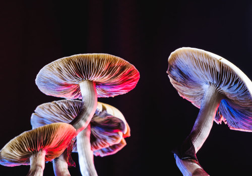 Exploring the Benefits of Psilocybin: A Comprehensive Review